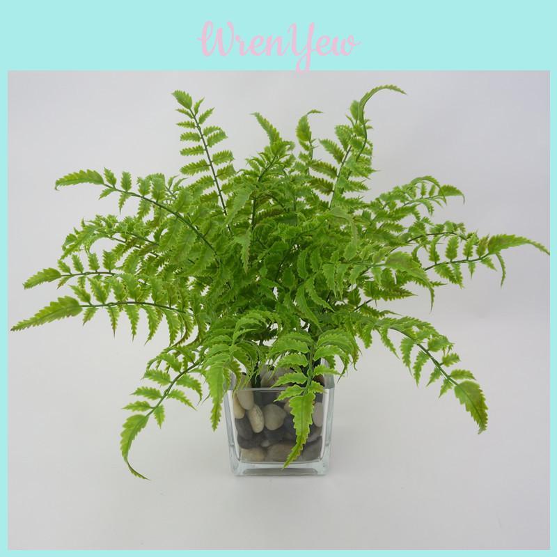 Faux Pteridium Aquilinum Var Latiusculum Plant Decor Set With Realistic Leaf Textures For Garden Photography And Home Decor