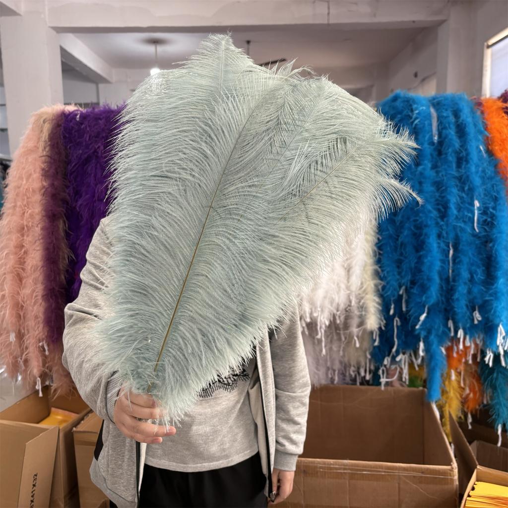 10PCS Big Ostrich Feathers 15-60cm for DIY Craft Wedding Table Center Decor Ostrich Plumas Carnival Party Stage Accessories Bulk