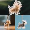 Creative Pet Hair Storage, Dog Hair Storage, Cute Pendants, Keychains, Bags, Hanging Decorations, Capsules, Collection Souvenirs