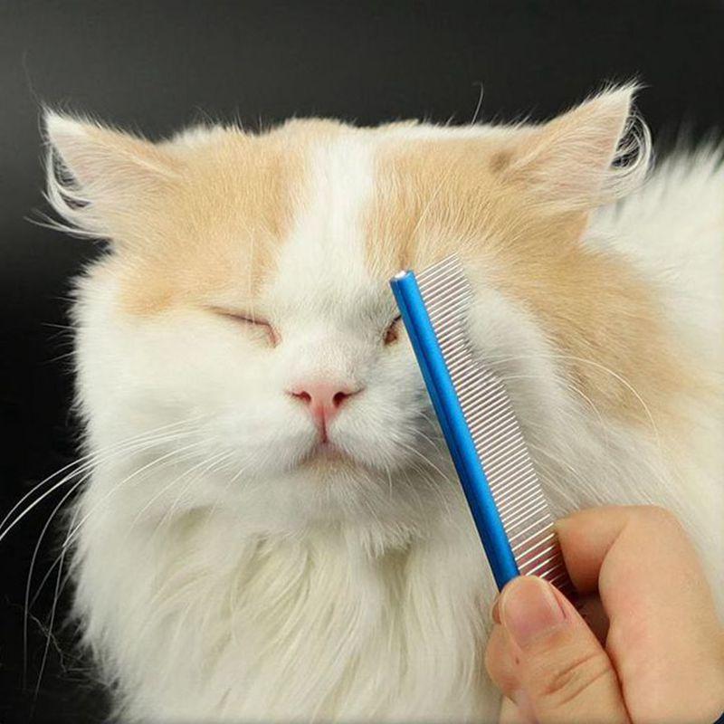 Mini-Tiergesichtskamm Pflegekamm für zottelige Katzen Hunde Friseur Pflegewerkzeug Salon Tierpflege Hochwertiger Edelstahlkamm
