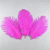 10Pcs Natural Dyed Fluffy Soft Ostrich Feather Handmade Diy Embroidery Feather Jewelry Making Dress Wedding Dress