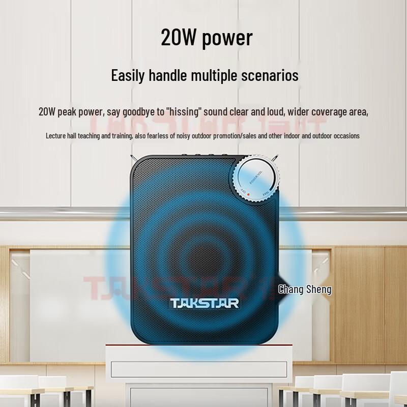 Takstar E500W Wireless Voice Amplifier CN plug (adapter included)