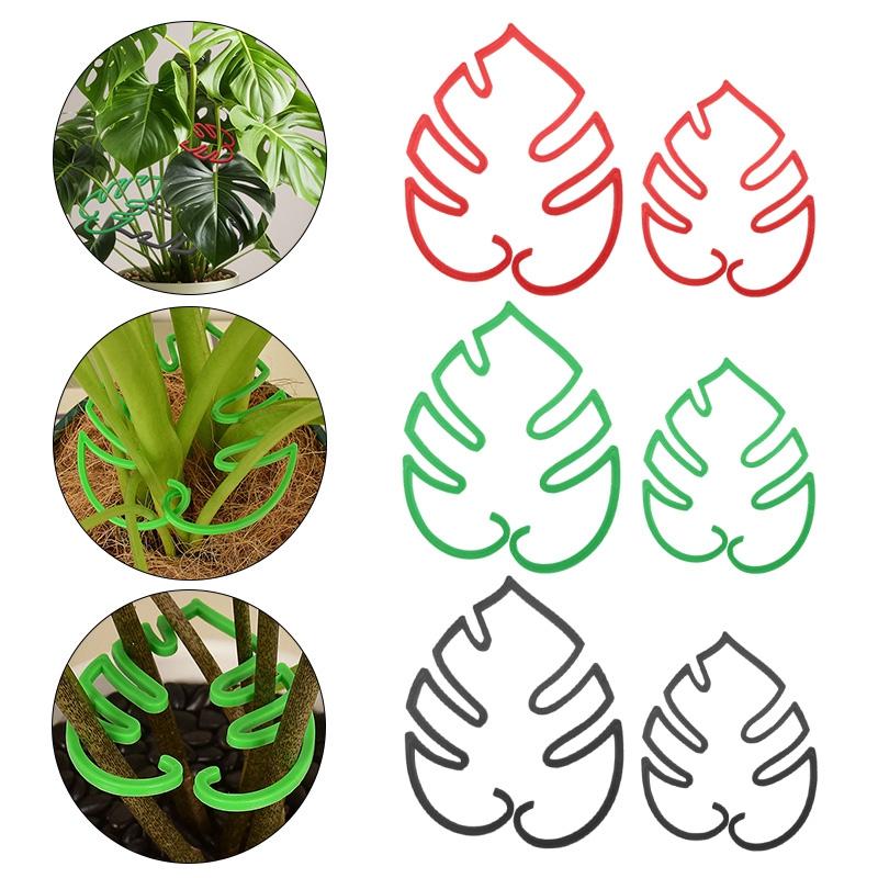 Monstera Plant Support Plants Accessories Leaf Shape Indoor Greenhouse Plant Stand Plastic Plant Stem Fixation Bracke