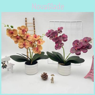 Phalaenopsis Artificial Flower Plant Pot For Wedding Decor And Photography Indoor Outdoor Display