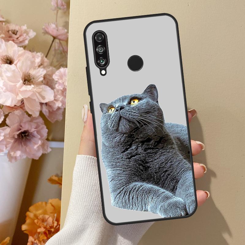 British Shorthair Cat For Huawei Nova 7i 8i 11i 12i 12s Y73 Y70 Y90 Y60 Y72 Y61 Y91 9 10 SE P30 Pro P40 Lite Case