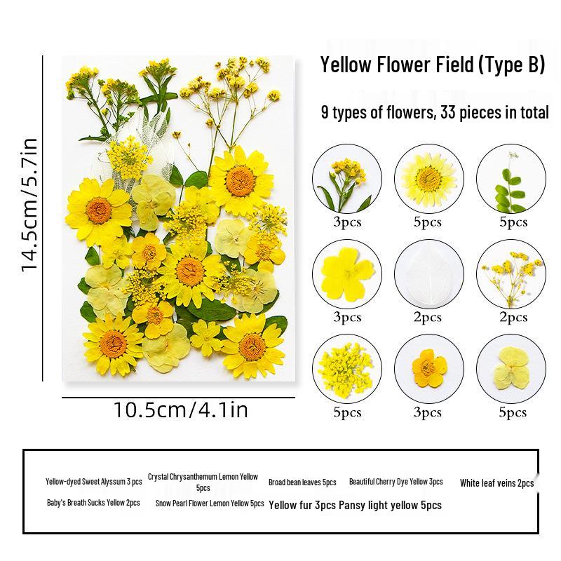 DIY Dried Flower Specimen Sticker Set for Kids: Handmade Pressed Flower Frames & Resin Bookmark Craft Kit