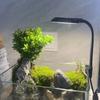 Mini LED Aquarium Growth Light Set for Dormitory Desktop