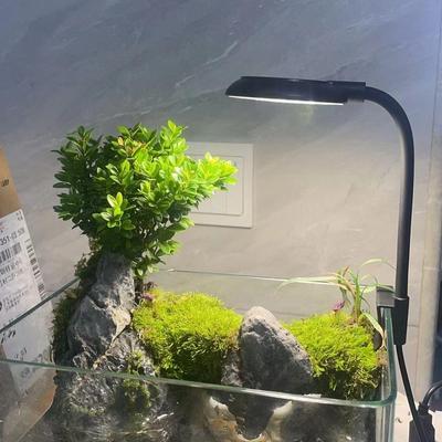 Mini LED Aquarium Growth Light Set for Dormitory Desktop
