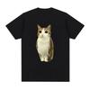 Kat Uil Grappig Meowl Meme Brainrot Grafische T-shirts Heren Dames Kleding Mode Korte Mouwen T-shirt Casual Oversized T-shirts