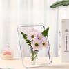 1Pc Light Luxury High-end Hydroponic Flower Arrangement Photo Frame Vase