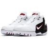 Nike Air Zoom Generation Retro Qs 'Debut' 2017 Sneakers Casual AJ4204-101