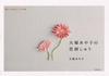 Ayako Flower Embroidery for Enriching Your Otsuka's (Tips Life)