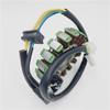 Motorcycle Stator Coil for WJ250 Wangjiang Taizi GN250 Engine