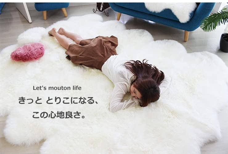 Craft Works Sheepskin Rug (Natural / Long Hair / Single Rug / 60 x 90cm) Taupe (Washable / Carpet / Wool) Sheepskin Rug (1 Rug)