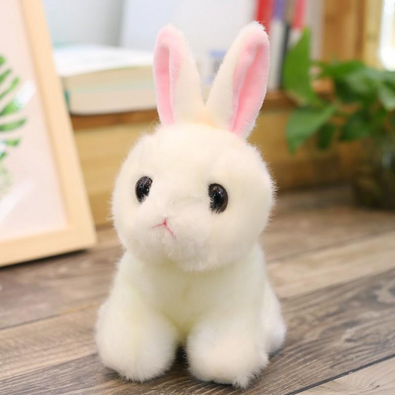 

Cute Little White Rabbit Doll Korean Little Rabbit Plush Toy Rag Doll Doll Children Girl Super Cute Guy 20cm
