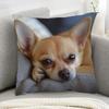 1 Chihuahua Dog Plush Pillowcase - 45.72x45.72 Cm Double-Sided Chihuahua Print Cover, Soft Short Plush with Zipper Closure, Machine Washable Pet Bed D