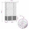Raised Bed with Trellis and Canopy Brown 124 x 40 x 138 cm PP