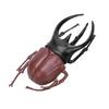 6pcs Simulation Beetle Insect Model Halloween Trick Props NonToxic PVC Insect Toy(Black )