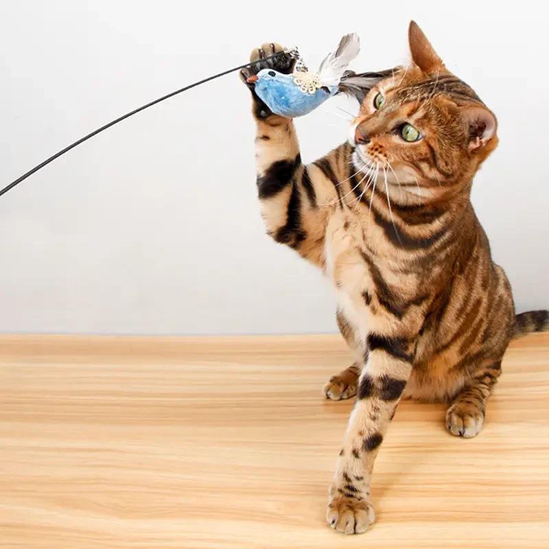 Newcomer Discount: Steel Wire Bird Bell Cat Teaser Rod with Replaceable Head for Interactive Play and Self-Amusement