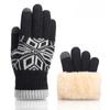 Christmas Double Layer Touch Screen Gloves Plus Velvet Thickened Knitted Gloves Outdoor Winter Cold Warm Gloves Touch Control