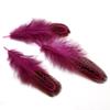 50Pcs 4-8cm Rare Precious DIY Wedding Party Decorative Multi-colour Pheasant Plume Feather Natural Feathers for Home Decoration