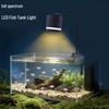 Pești și animale marine – Iluminare acvariu