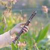 J32 ABS Sopran Descant Recorder Niemiecki styl 8 otworów G Kluczowy rejestrator palcowania Instrument z