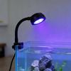 Peixes e animais aquáticos – Iluminação de aquário