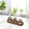 Plant Terrarium Glass Vase Modern Transparent with Wooden Tray, Hydroponics Propagation Station Indoor Desktop Decor