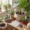 10PCS Transparent Plant Drainage Pipes Plastic Breathable Plant Aeration Tubes Improve Drainage Prevent Root Rot