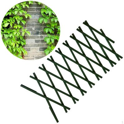 Clôture de jardin extensible Treillis mural pour plantes grimpantes pour la maison et