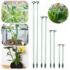 10 unidades de design de slot de estacas de suporte para plantas Fácil de usar Aplicação versátil Interior Externo Hastes de suporte de flor de haste única de planta com gaiola de anel de suporte