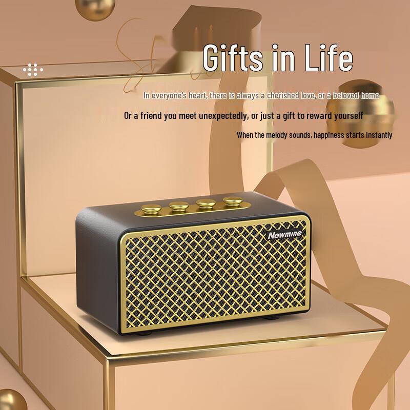 Newman BT521 Portable Bluetooth Speaker