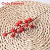 Ilex Simulation Chinensis Berries Fortune Fruit Ginkgo Flower Artificial