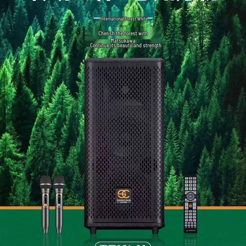 SC1-26 High-Power Portable Bluetooth Trolley Speaker (CN Version)