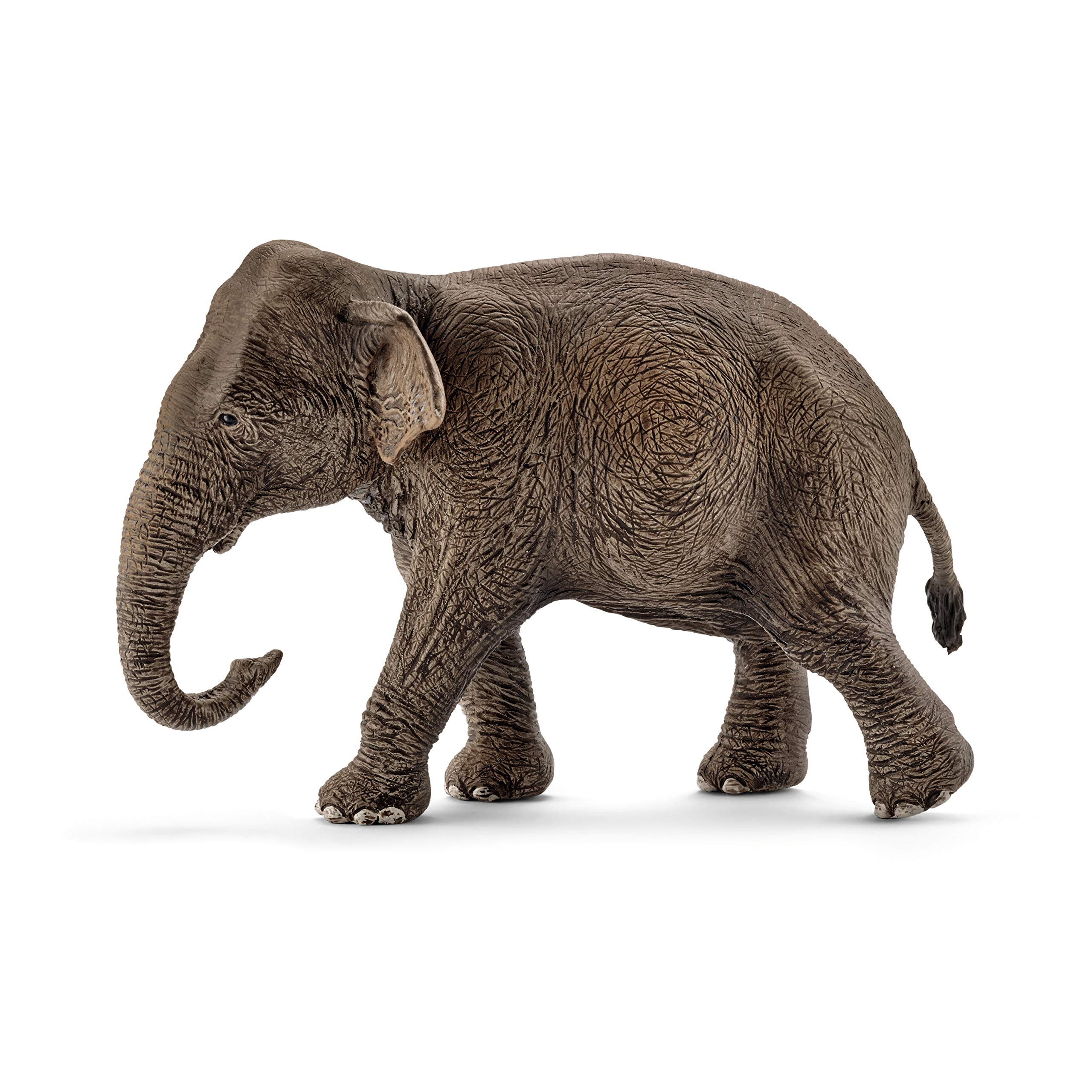 

Фигурка дикого индийского слона Schleich 14753 (женский пол)