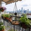 Hanging Bird Feeder Tray for Outdoor Garden Tree Mount