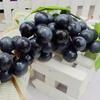 New Artificial Grapes A Bunch Of Grapes Plastic Fakes Fruit Food Home Decor Decoration Artificial Fruit Fakes Fruits Decoration