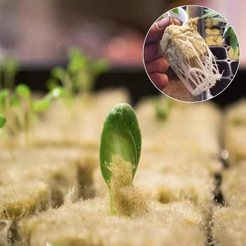 100/50x Planting and Seedling Cultivation of Rock Wool Without Soil Stonewool Hydroponic Grow Media Cubes Garden Seedling Block