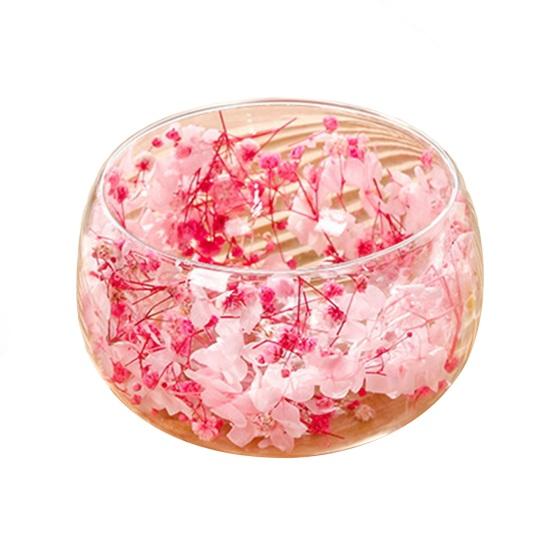 Doppelwandige Glasschale mit echten gepressten Blumen Hitzebeständig Kältebeständig Transparent Lebensmittelschale für Salat Dessert Servieren Niedliche Heimküchendekoration