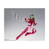 Bandai Tamashii Nations - Saint Seiya - Figurine Saint Cloth Myth Ex Andromeda Shun (Final Bronze Cloth) 17 cm
