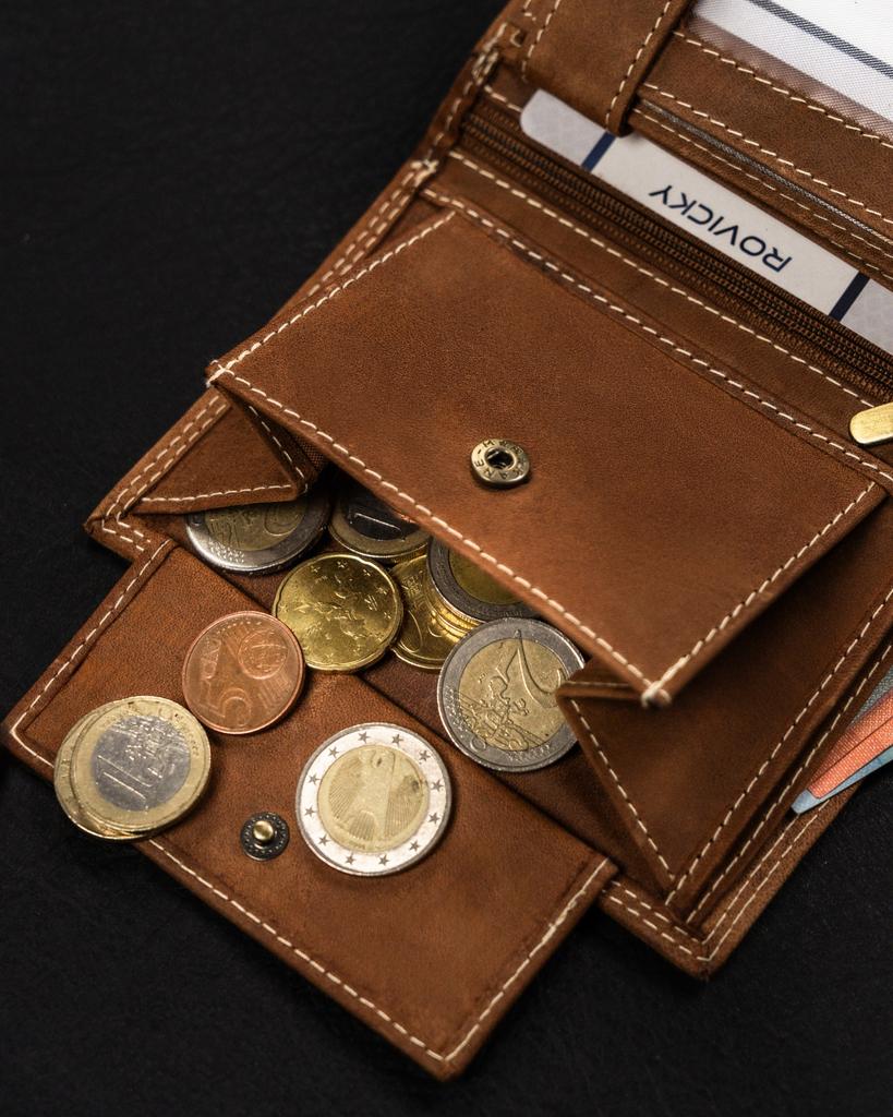 Large, Vertical Men's Wallet Made of Genuine Leather - Always Wild