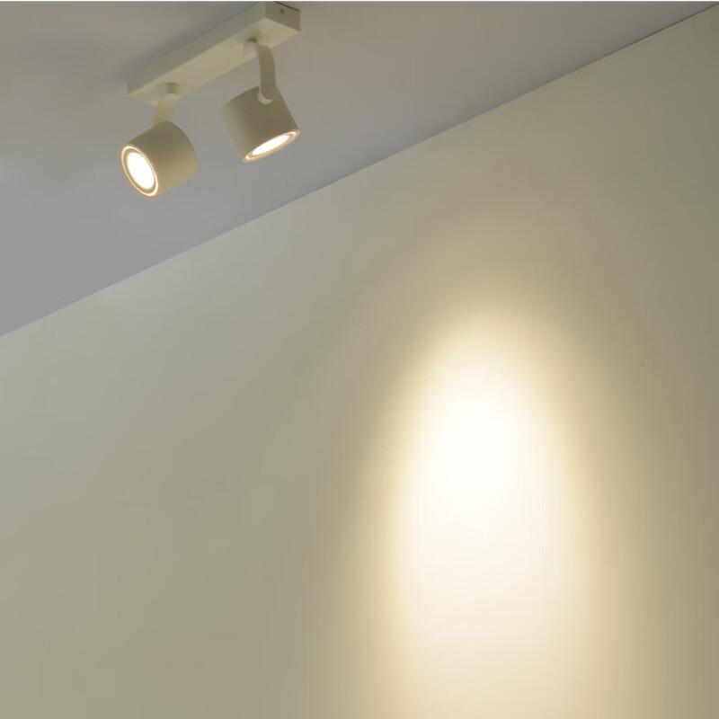 Dual-Head 14W Emergency LED Ceiling Light