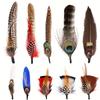 10-12 Pcs Natural Peacock Feathers Colorful Real Feathers for Fedora Cowboy Party Hats DIY Crafts