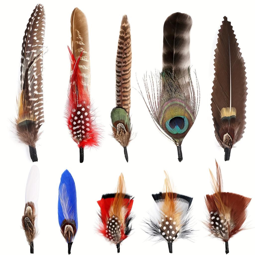 10-12 Pcs Natural Peacock Feathers Colorful Real Feathers for Fedora Cowboy Party Hats DIY Crafts