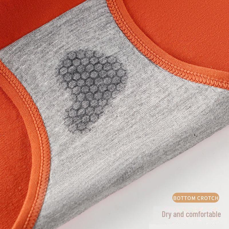 Nuevo Estilo Otoño/Invierno Ropa Interior Térmica de Algodón de Cintura Alta para Mujer con Felpa Plus