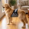 Breathable Dog Training Pants Anti Harassment Dog Physiological Pants Prevent Pregnancy