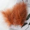 50Pcs Macaron Feather Color Turkey Full Velvet, Dream Catcher Hair Accessories Diy Handmade Materials Bouquet Stage Wedding Decoration