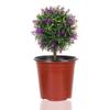 10pcs Garden Supply Mini Soft Plastic Two-Tone Plant Trays Flower Vases Nursery Pots Round Planter