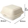 Strix Design Bagasse Molded Sugarcane Pomace Food Packs, Square, 1000 count (40 packs of 25), 16 x 15 x 8 cm, Brown, Water and Oil Resistant, Microwav